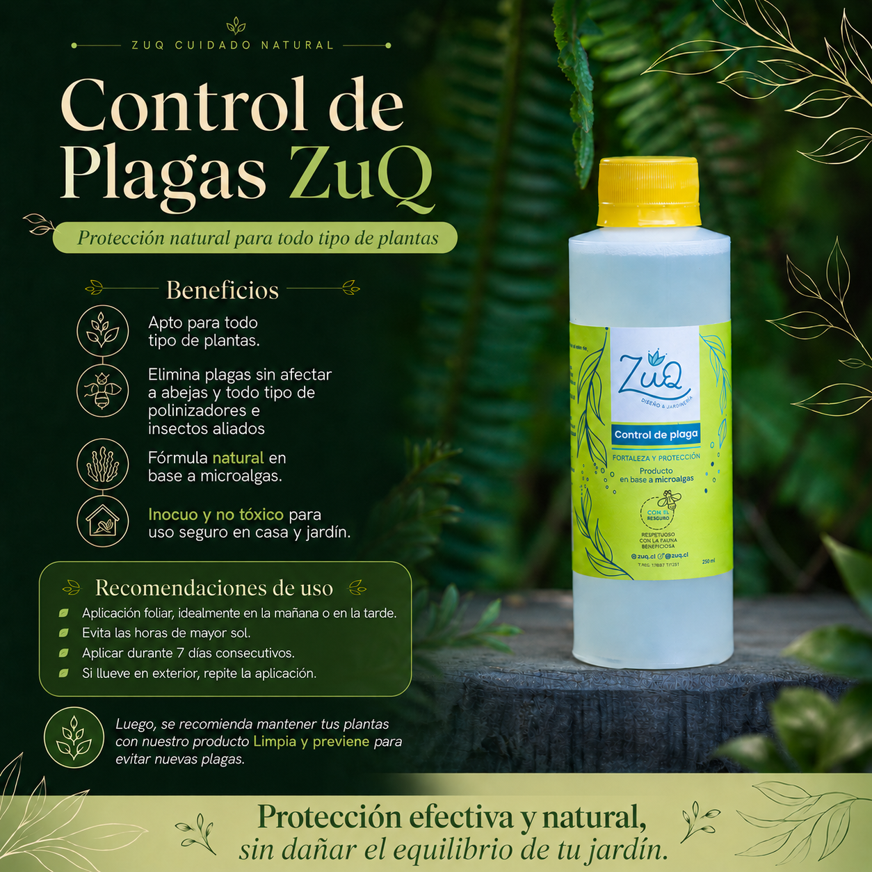 Control de plaga
