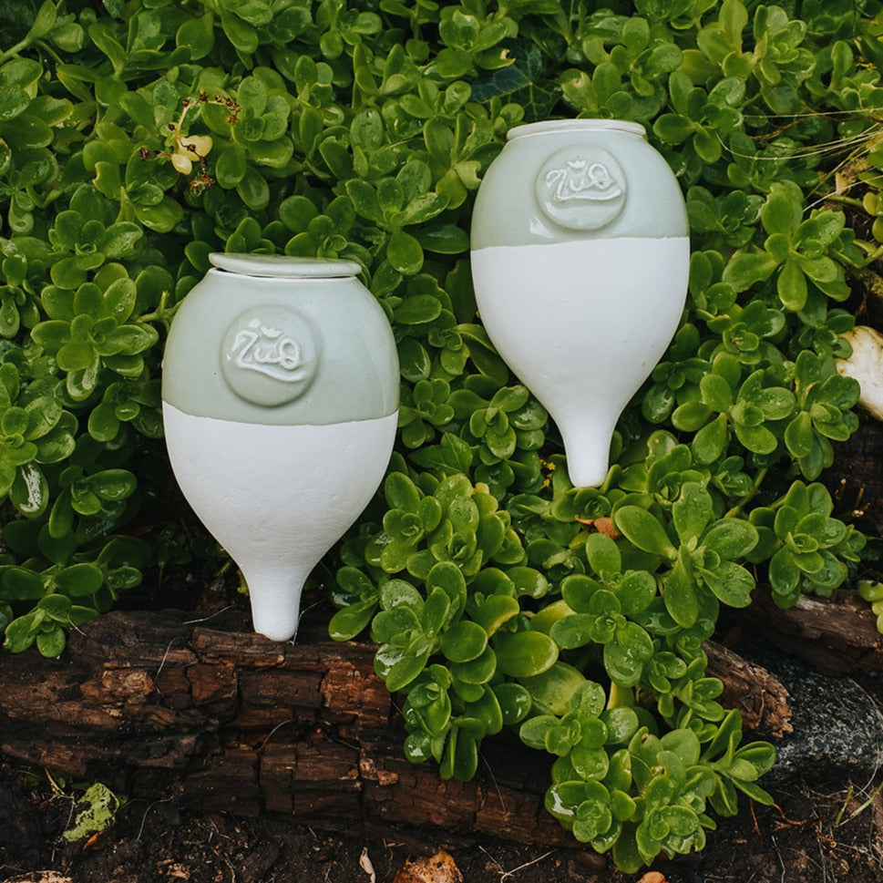 Pack 2 autorregantes de 450cc