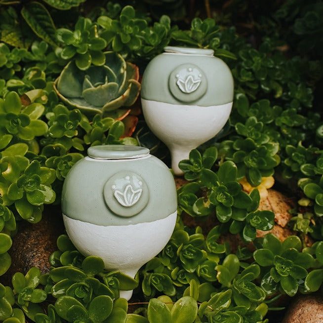 Pack 2 autorregantes de 250cc