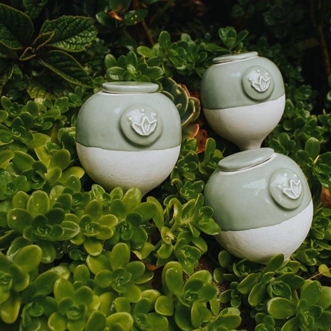 Pack 3 autorregantes de 250cc