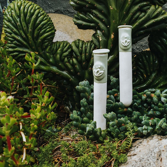 Pack 2 autorregantes de 50cc