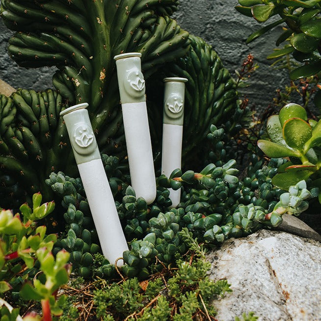 Pack de 3 autorregantes de 50cc