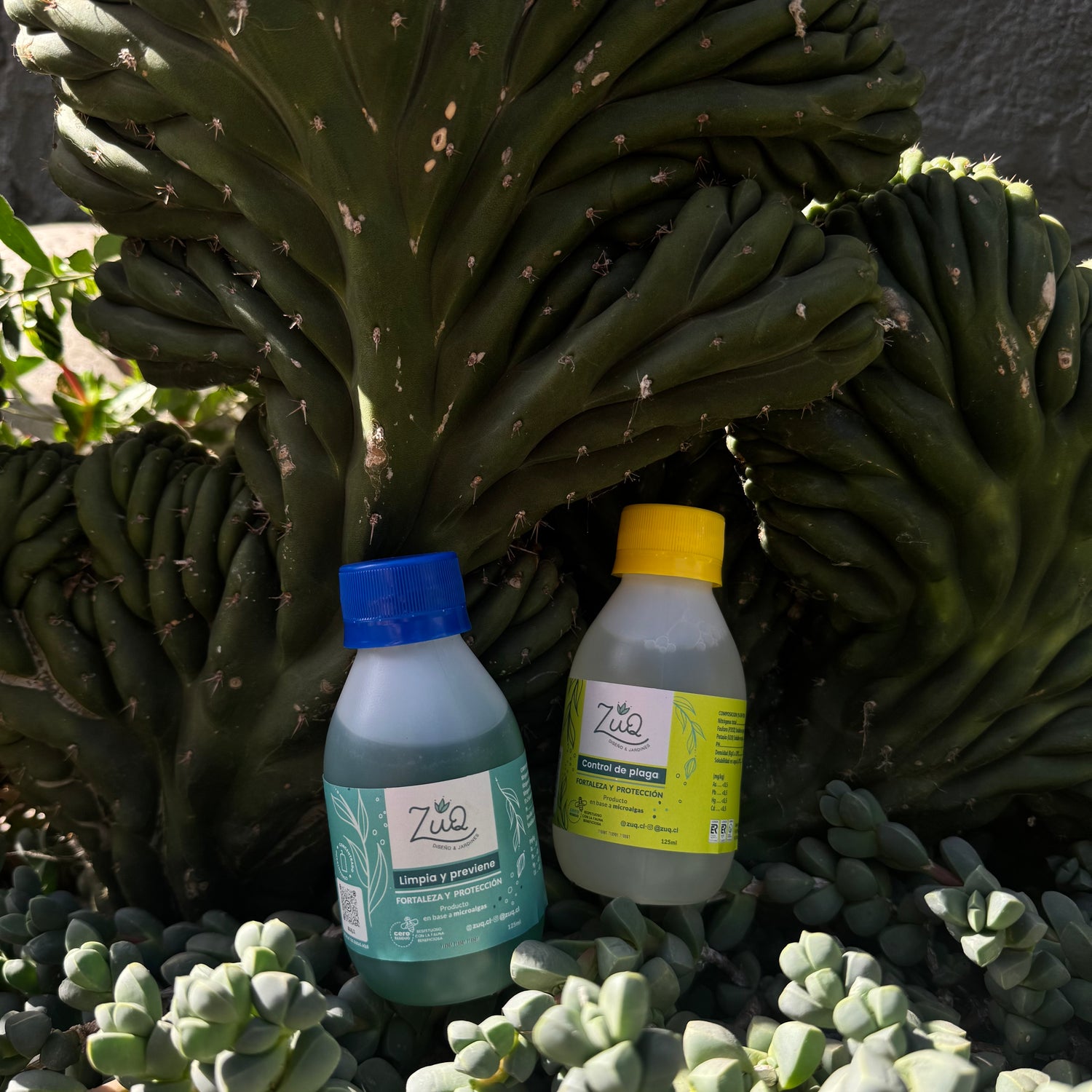 🌿 Pack Cuidado Activo