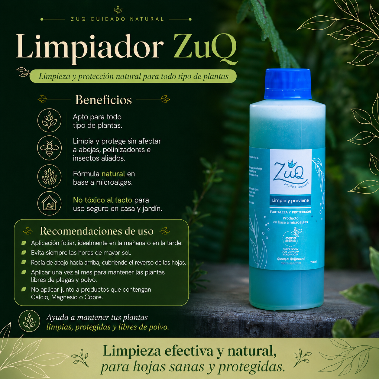 Limpia y Controla