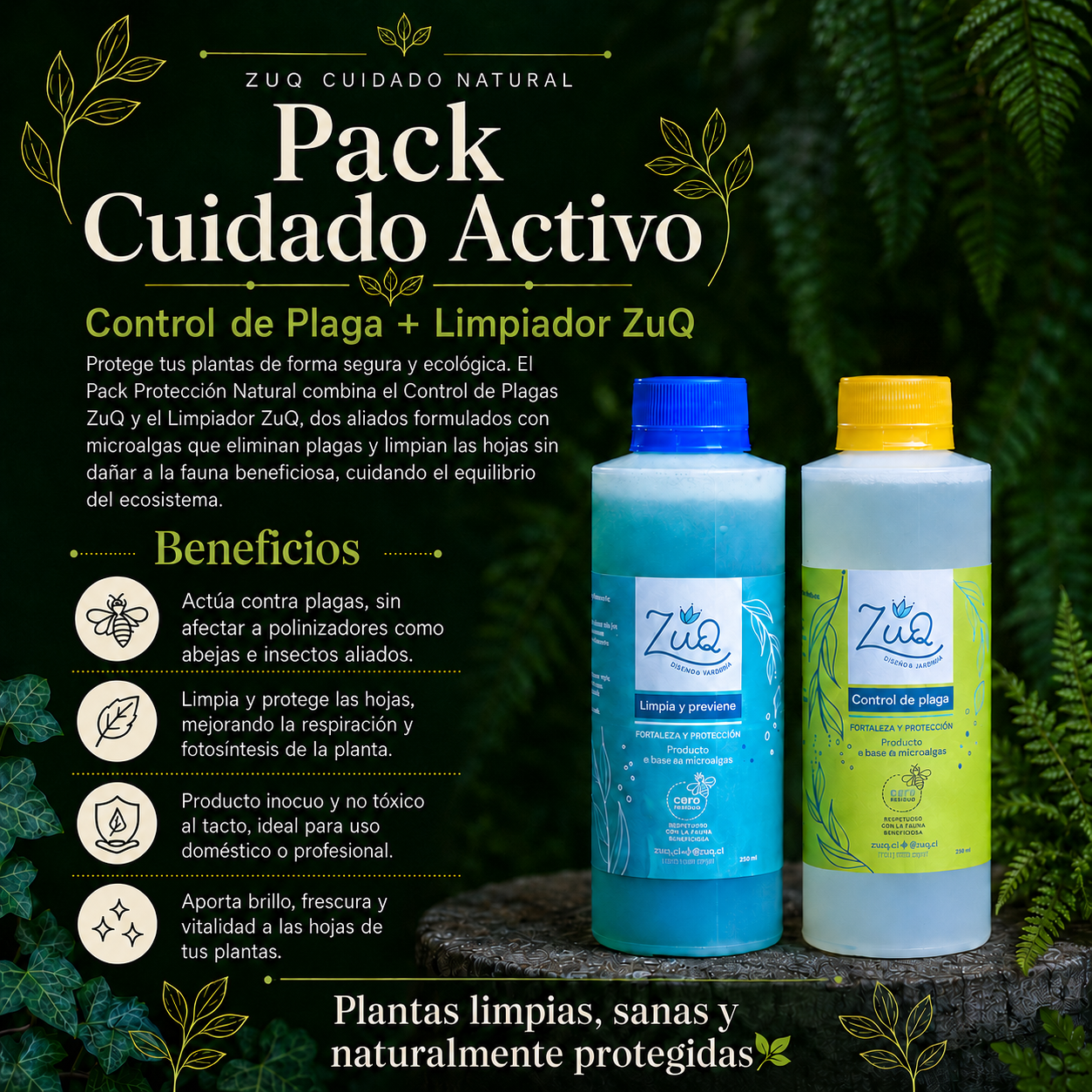 🌿 Pack Cuidado Activo