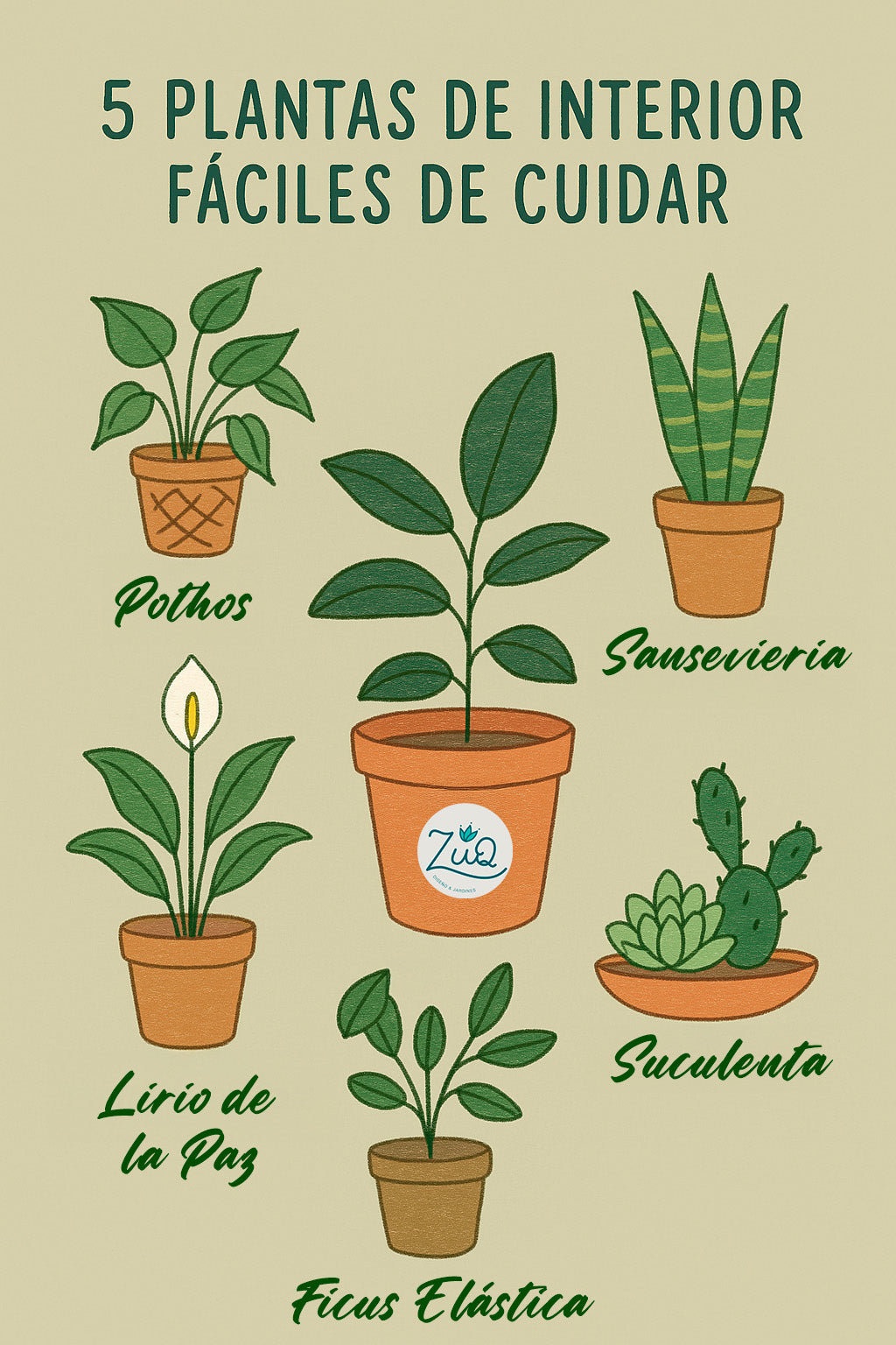 🌿 Plantas de Interior de Fácil Cuidado: Verdes y Felices sin Complicaciones