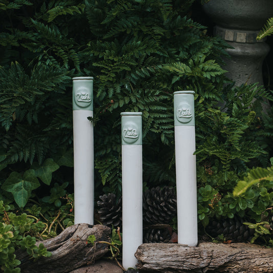¿Cómo elegir el autorregante ideal para tus plantas de interior?