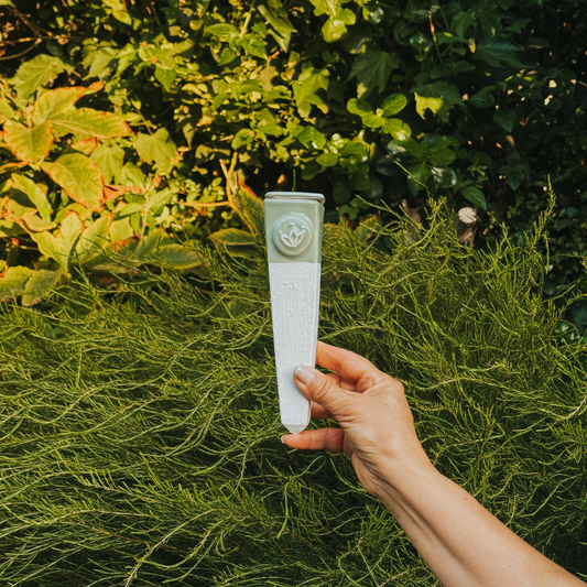 NUEVO Autorregante Triangular