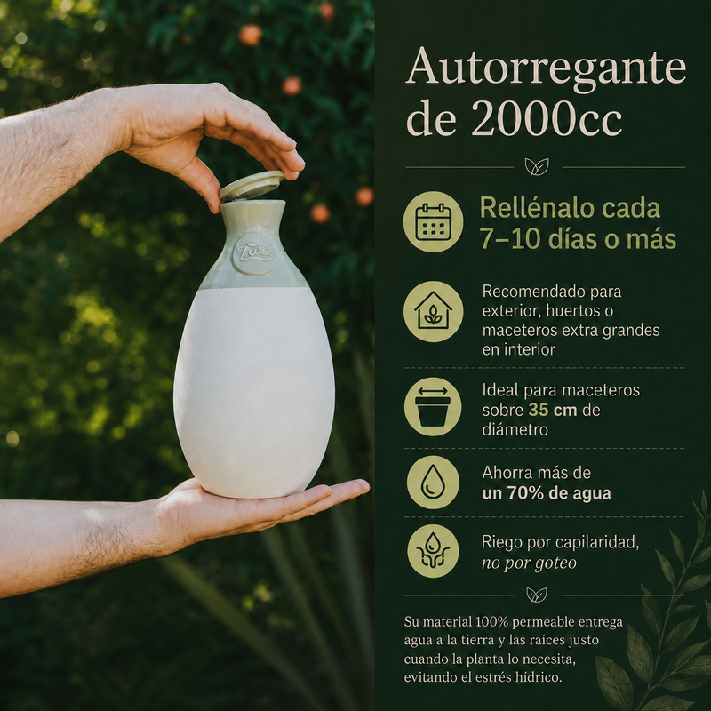 Autorregante de 2000cc
