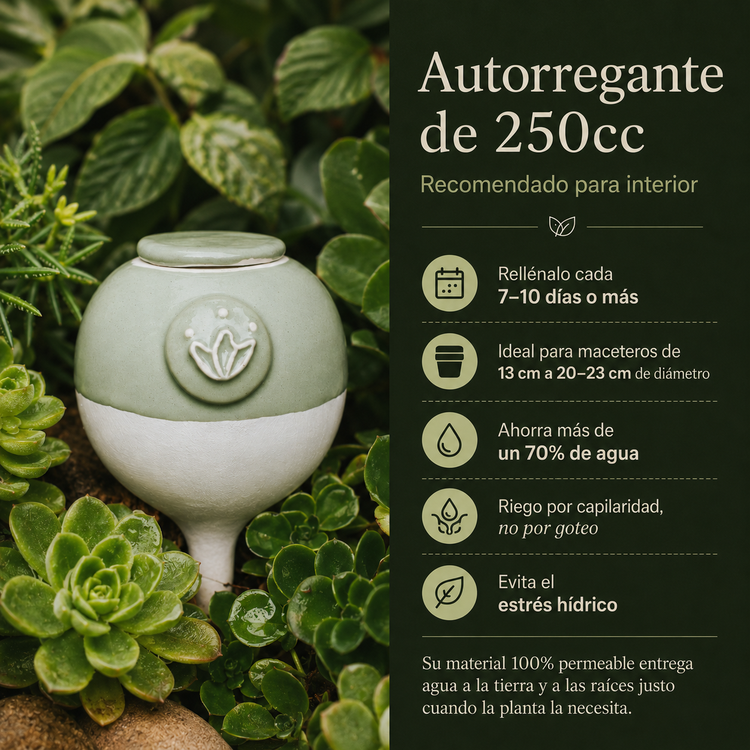 Productos