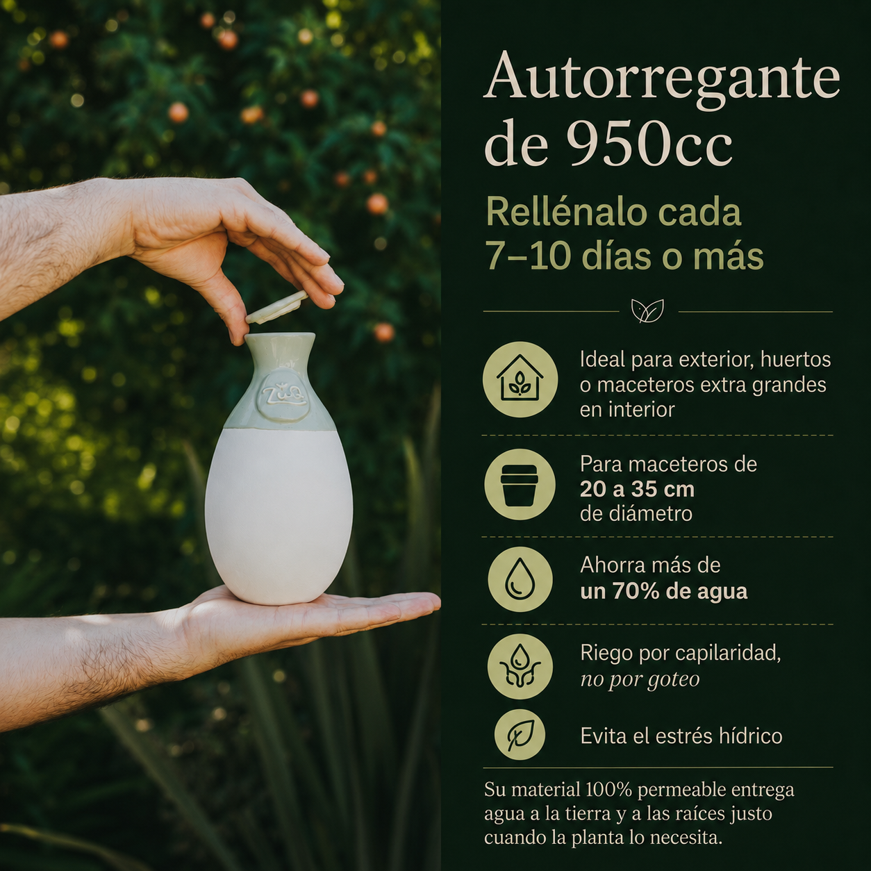 Autorregante de 950cc