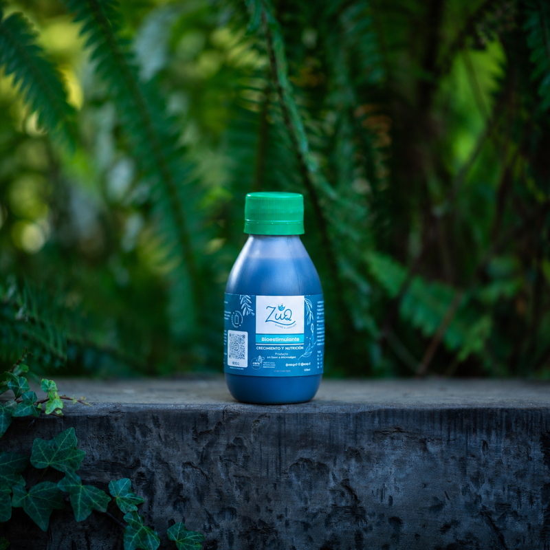 Bioestimulantes