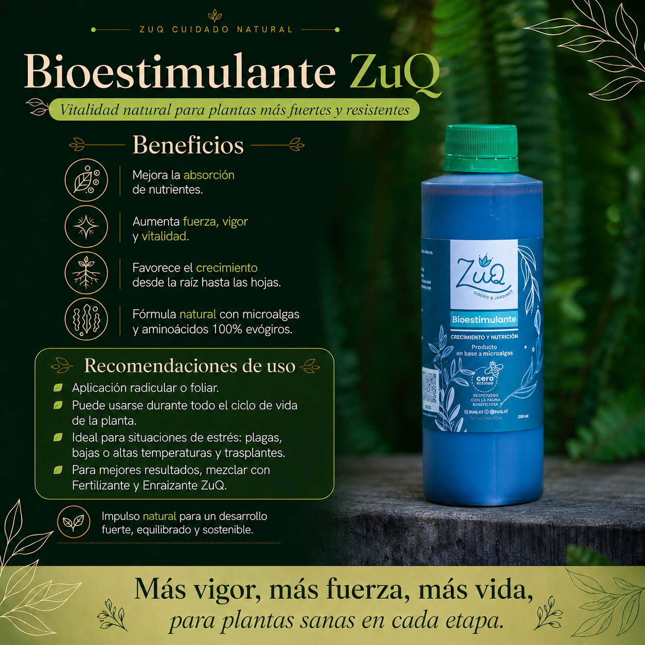 Bioestimulantes