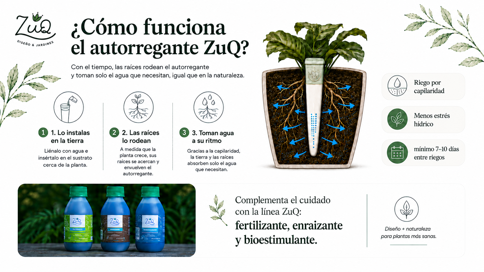 Banner Promocional