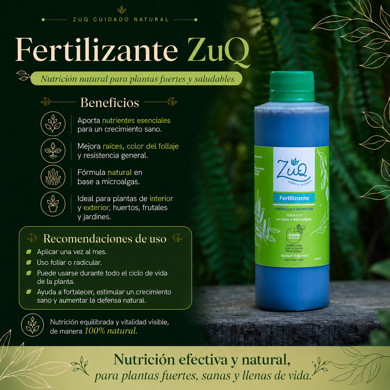 Fertilizantes