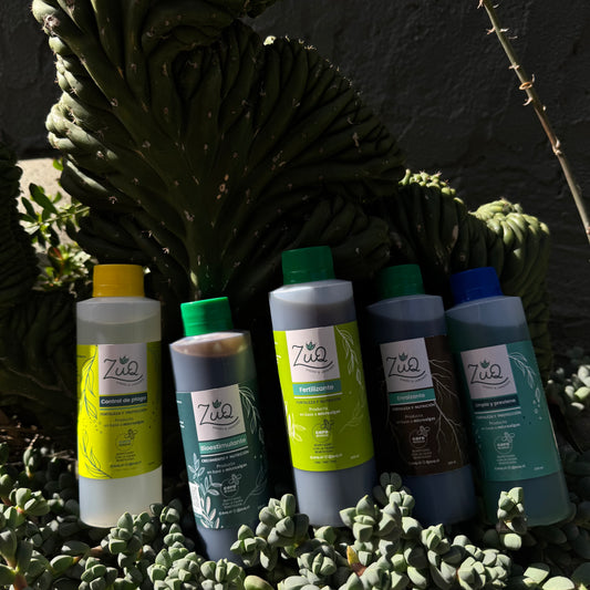 💚 Pack Power Plant