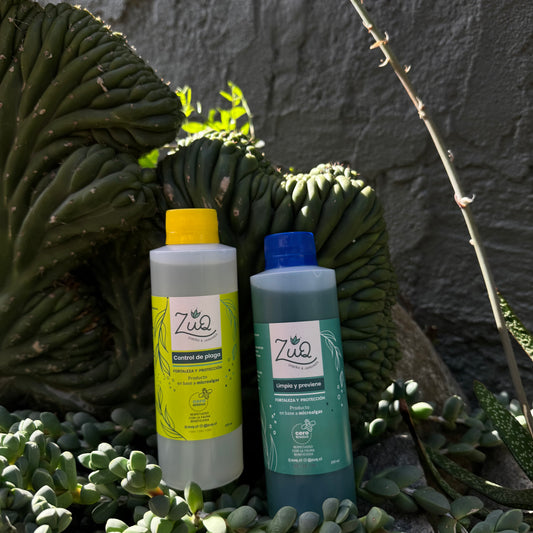 🌿 Pack Cuidado Activo