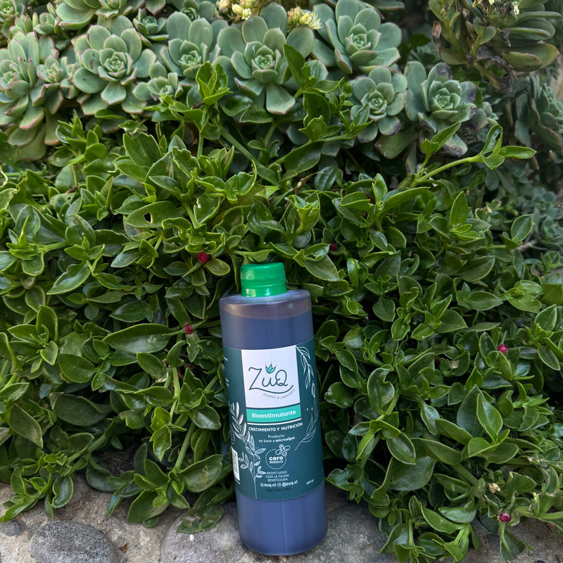 Bioestimulantes