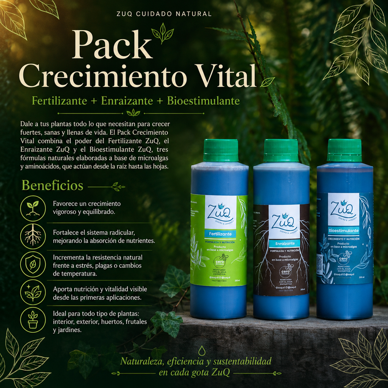 💚 Pack Crecimiento Vital